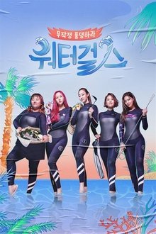 워터걸스 tv show poster
