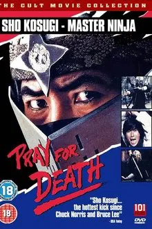 The Master Ninja 5 movie poster