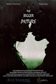 The Bigger Picture movie poster
