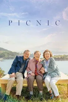 Picnic movie poster