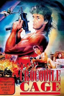 Double Crosser movie poster