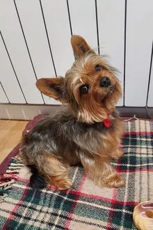 Tobías profile picture