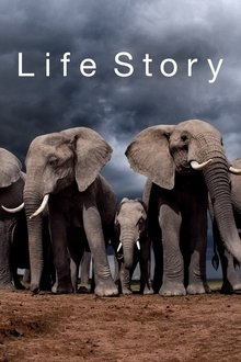 Life Story tv show poster