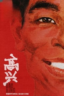 Poster da série 高兴