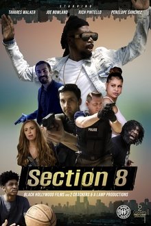Section 8 movie poster