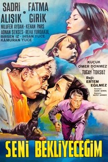 Seni Bekleyeceğim movie poster