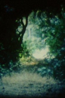 Chemins movie poster