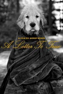 A Letter to True movie poster
