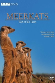 Meerkats: Part of the Team movie poster