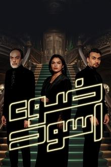 Black light tv show poster