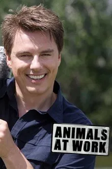 Animals at Work tv show poster