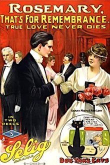 Rosemary, That's for Remembrance movie poster