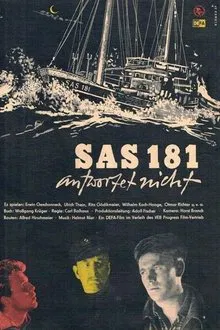 SAS 181 antwortet nicht movie poster