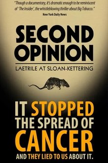 Second Opinion movie poster