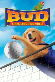 Poster do filme Bud 5: Arrasando no Vôlei!
