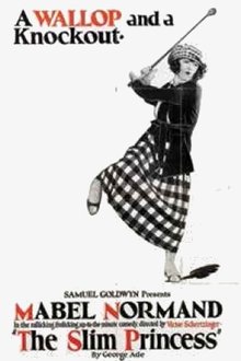 The Slim Princess movie poster