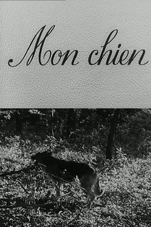Poster do filme Mon chien