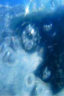 A fleur d’eau… movie poster