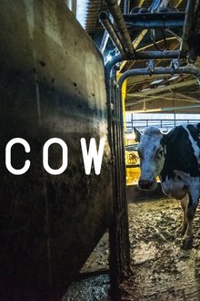 Cow movie poster