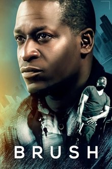 Poster do filme Brush