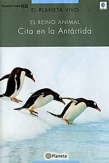 Poster do filme Rush Hour in Antarctica