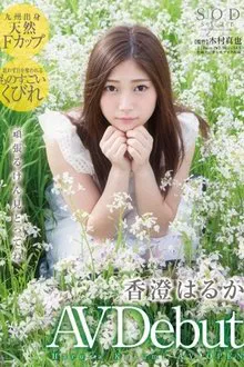 Foto de perfil de 香澄遥，香澄はるか