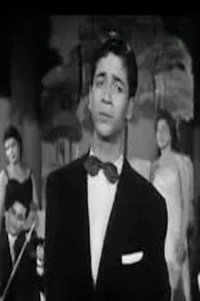 Shokoko El Soghayar profile picture