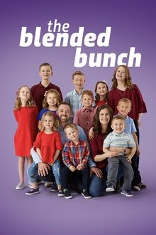 The Blended Bunch tv show poster