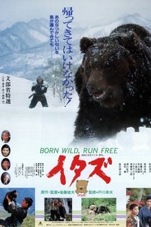 The Forest of the Little Bear movie poster