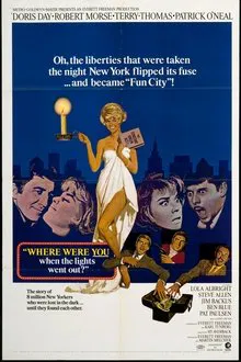 Where Were You When the Lights Went Out? movie poster
