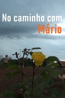 No Caminho com Mário movie poster