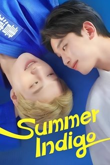 Summer Indigo tv show poster