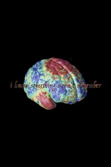 I Know Something I Can't Remember movie poster