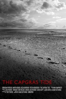 The Capgras Tide movie poster