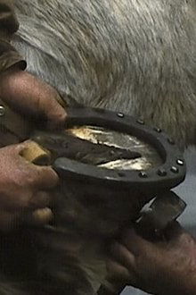 The Farrier movie poster