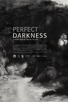 Perfect Darkness movie poster