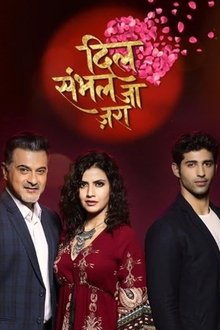 Dil Sambhal Jaa Zara tv show poster