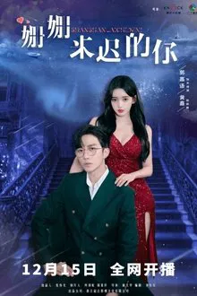 The Belated You tv show poster