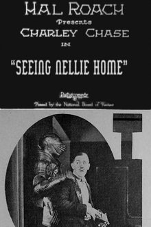 Seeing Nellie Home movie poster