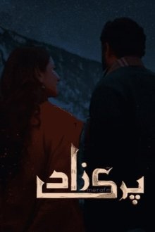 Parizaad movie poster