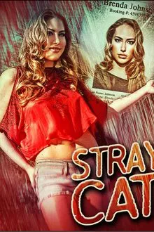 Stray Cat movie poster