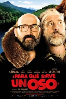 What's a Bear For? movie poster