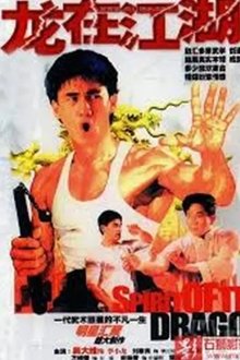 李小龙传 tv show poster