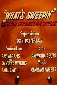 What's Sweepin'? movie poster