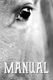 Manual movie poster