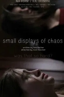 Small Displays of Chaos movie poster