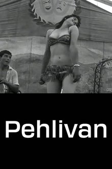 Pehlivan movie poster