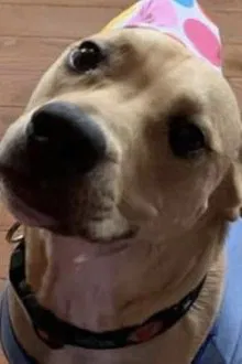 Foto de perfil de Malfoy