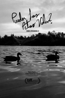 Can Ducks Fly? movie poster