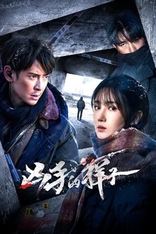 The Appearance of the Murderer tv show poster